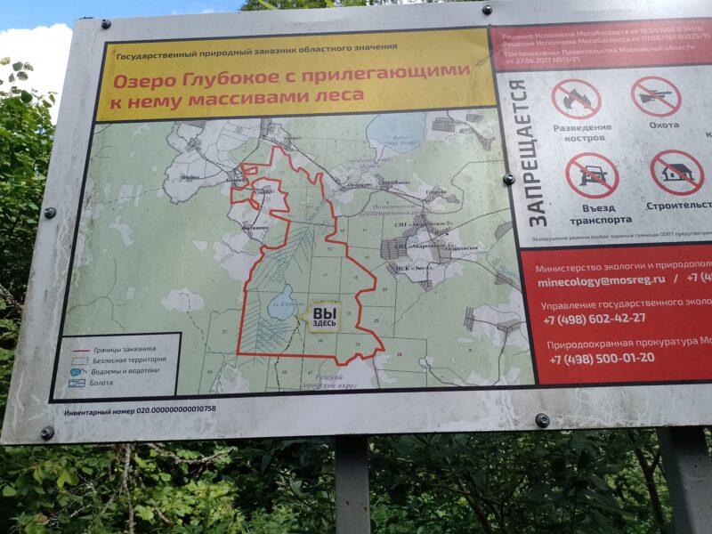 Автодорога (лыжероллеры) Н Горбово — Лызлово, состояние на 28 августа 2025 по отзыву, фото 6. 